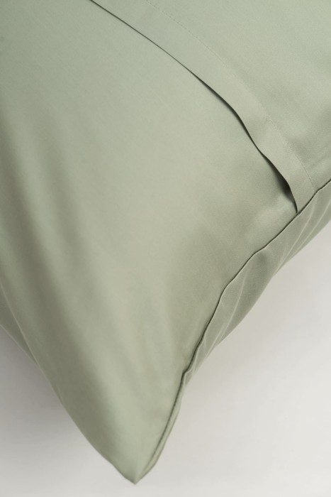 Постельное белье OLIVE BRILLIANT GRASS Евро 70 х 70 см (2 шт) простынь 160х200