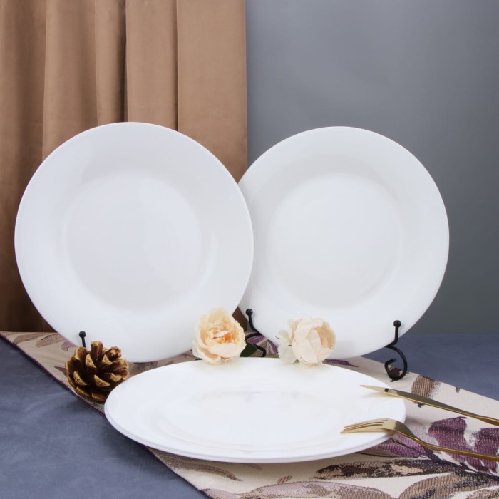 Набор обеденных тарелок Arya из опалового стекла 6 ед Globe Белый
