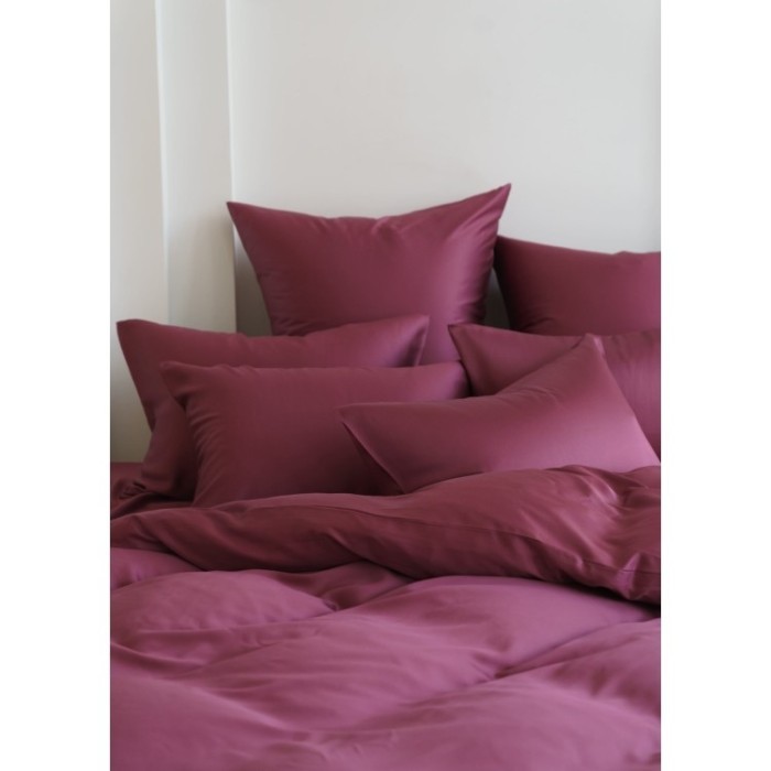 Постельное белье PURPLE BRILLIANT GRASS Евро 70 х 70 см (2 шт) простынь 240х260