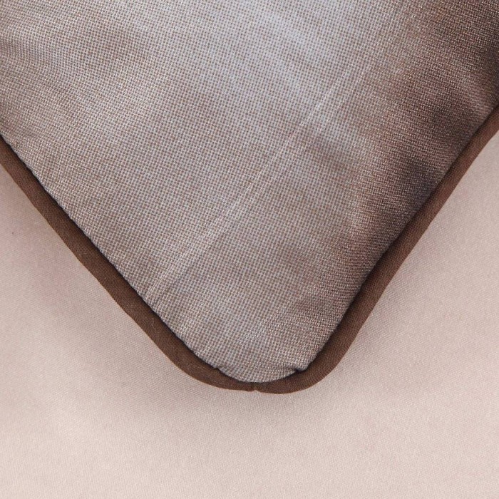 Амурский тигр Евро 3D Модерн