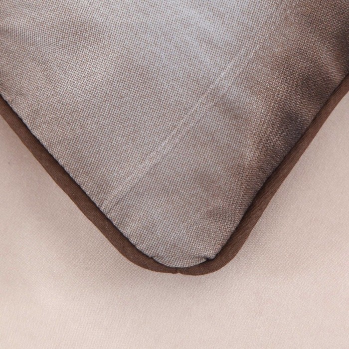 Амурский тигр Евро 3D Модерн