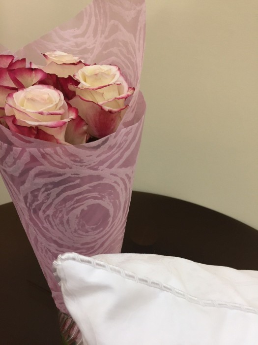 Flaum ELEGANZ Одеяло 200х220 всесезонное 1000