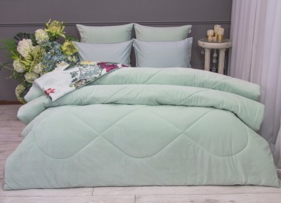 Постельный набор полуторный Фрезия жемчужная мята АВС Egypt Cotton