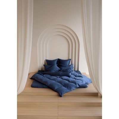 Постельное белье BLUE BRILLIANT GRASS Семейный 50 х 70 см (2 шт) простынь 160х200