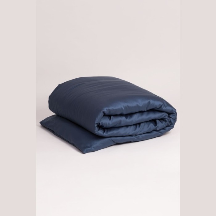 Постельное белье BLUE BRILLIANT GRASS Семейный 70 х 70 см (2 шт) простынь 160х200