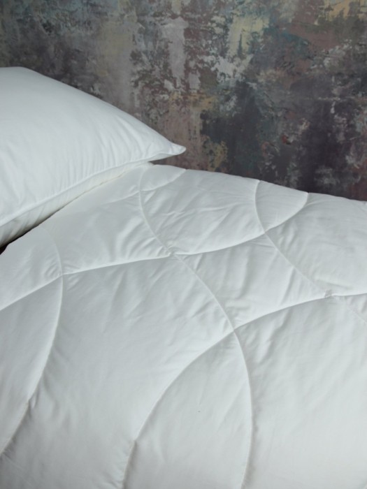 Одеяло FLAUM AKTIV 200x220 легкое