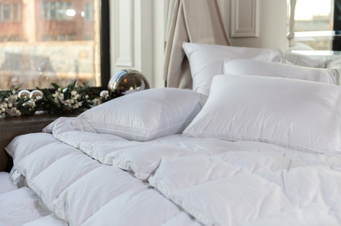 Подушка WHITE FAMILIE DOWN трехкамерная 3D упругая с бортиком 50х68