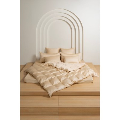 Постельное белье Vanilla Brilliant Grass Полуторный 70 х 70 см (2 шт) простынь 240х260