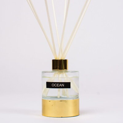 Диффузор Arya Reed 100 ml Ocean  