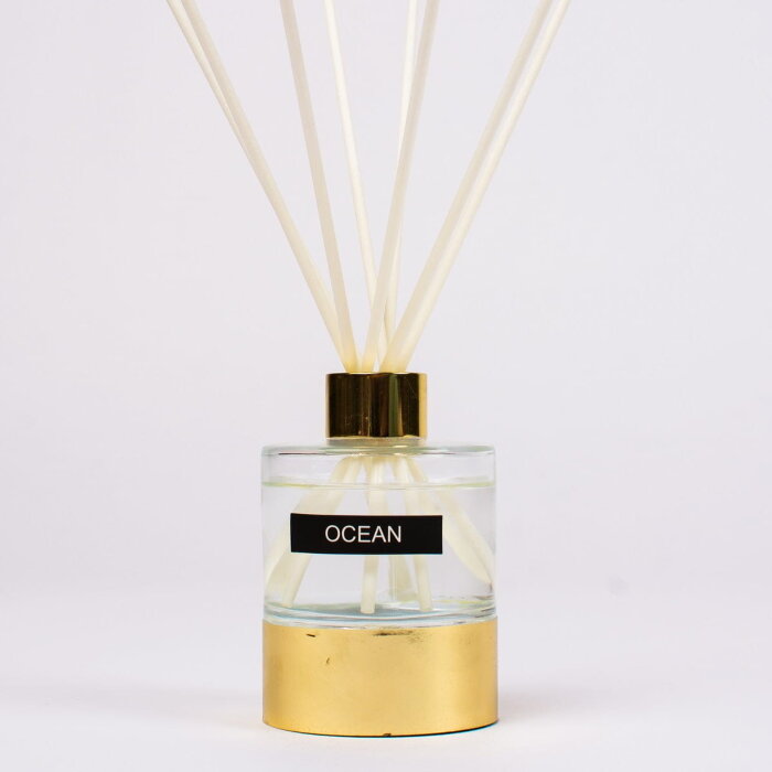 Диффузор Arya Reed 100 ml Ocean  