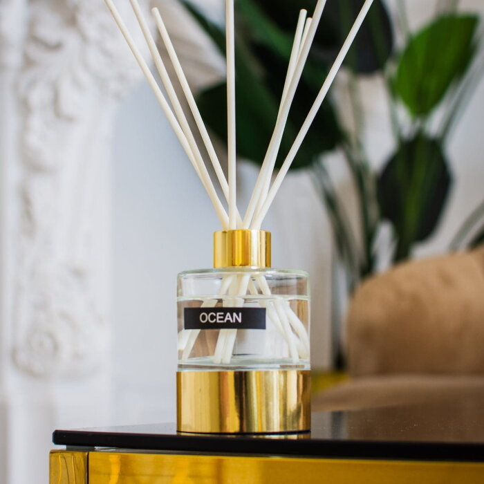 Диффузор Arya Reed 100 ml Ocean  