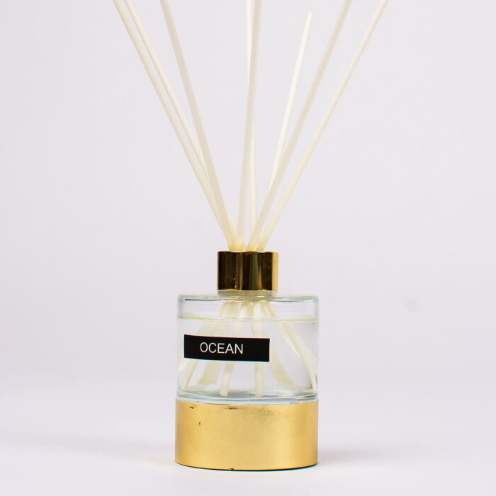 Диффузор Arya Reed 100 ml Ocean  