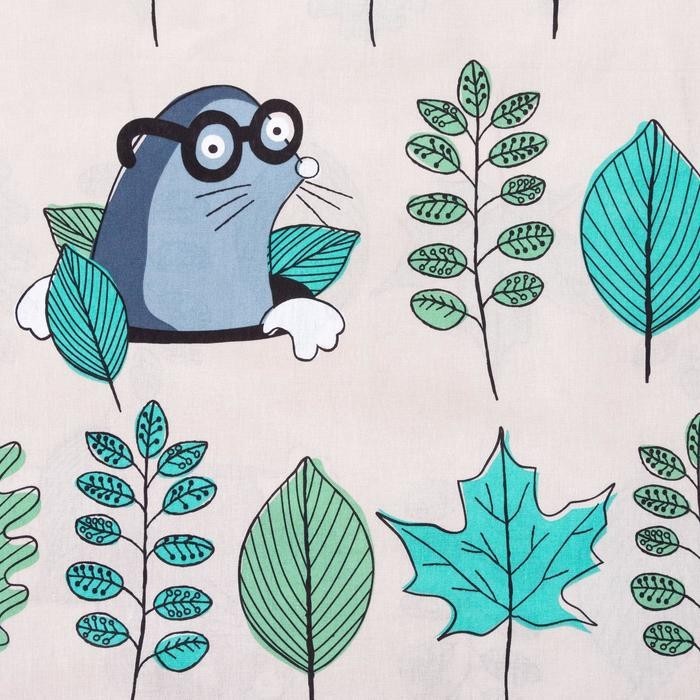 Постельное белье "Этель" 1.5 сп My home 143*215 см, 150*214 см, 50*70 см -1 шт,100% хл, бязь