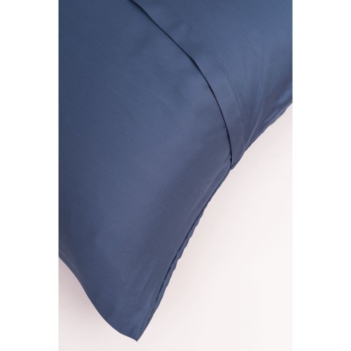 Постельное белье BLUE BRILLIANT GRASS Семейный 50 х 70 см (2 шт), 70 х 70 см (2 шт) простынь 180х200