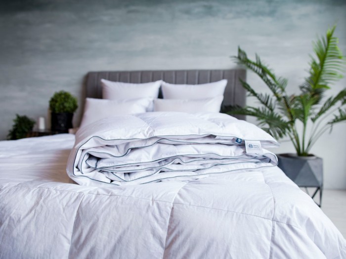 Одеяло GRAY FAMILIE DOWN всесезонное 155х200