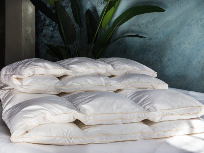 Одеяло QUEEN DOWN GRASS всесезонное 200х220