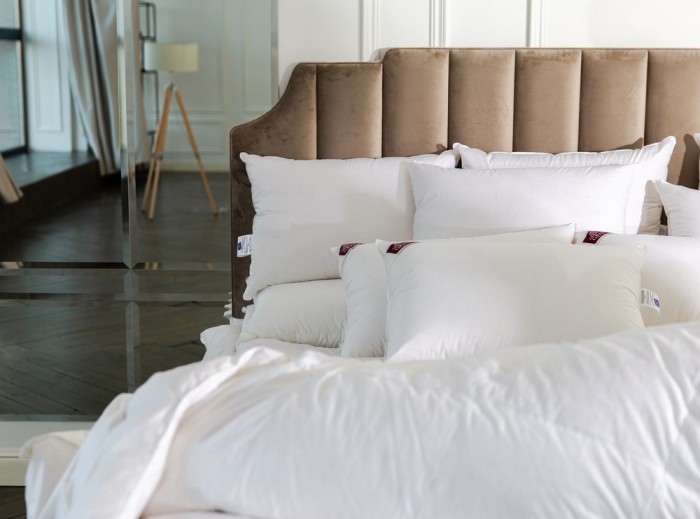 Подушка ROYAL DOWN GRASS мягкая 50х68