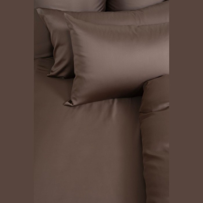 Простыня Havana Brown Brilliant Grass 240х260