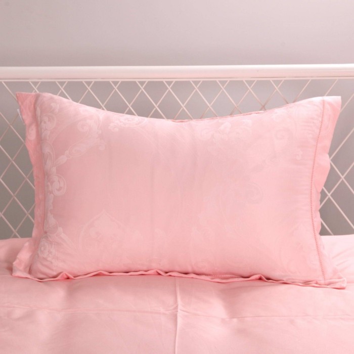 Алонсо (пудра) Комплект постельного белья Евро 4н Т