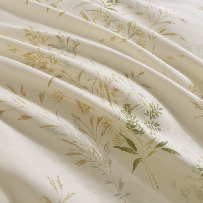 Сандро (крем) Комплект постельного белья сатин 1.6