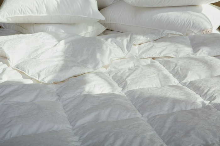 Одеяло PRINCESS DOWN GRASS всесезонное 200х220