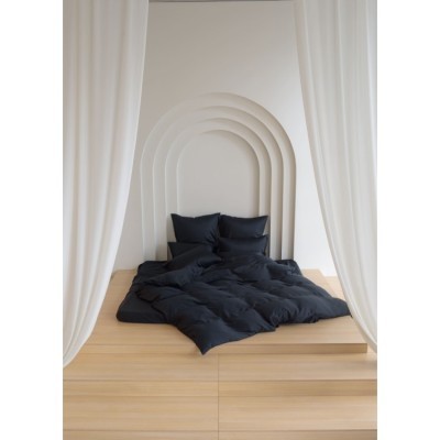 Постельное белье BLACK BRILLIANT GRASS Полуторный 50 х 70 см (2 шт) простынь 160х200