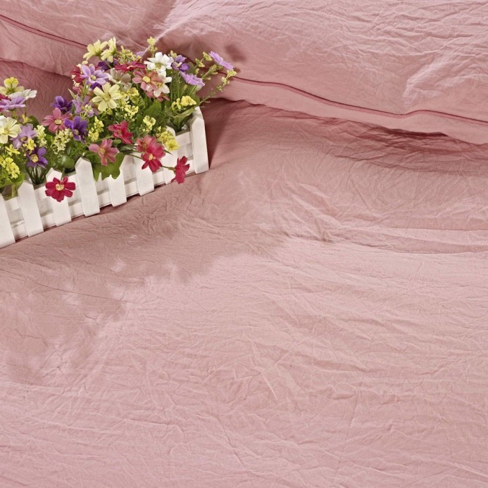 Асти (роз) Комплект постельного белья Евро 4н