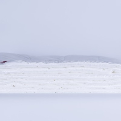 Одеяло SOFT COMFORT GRASS всесезонное 160х220