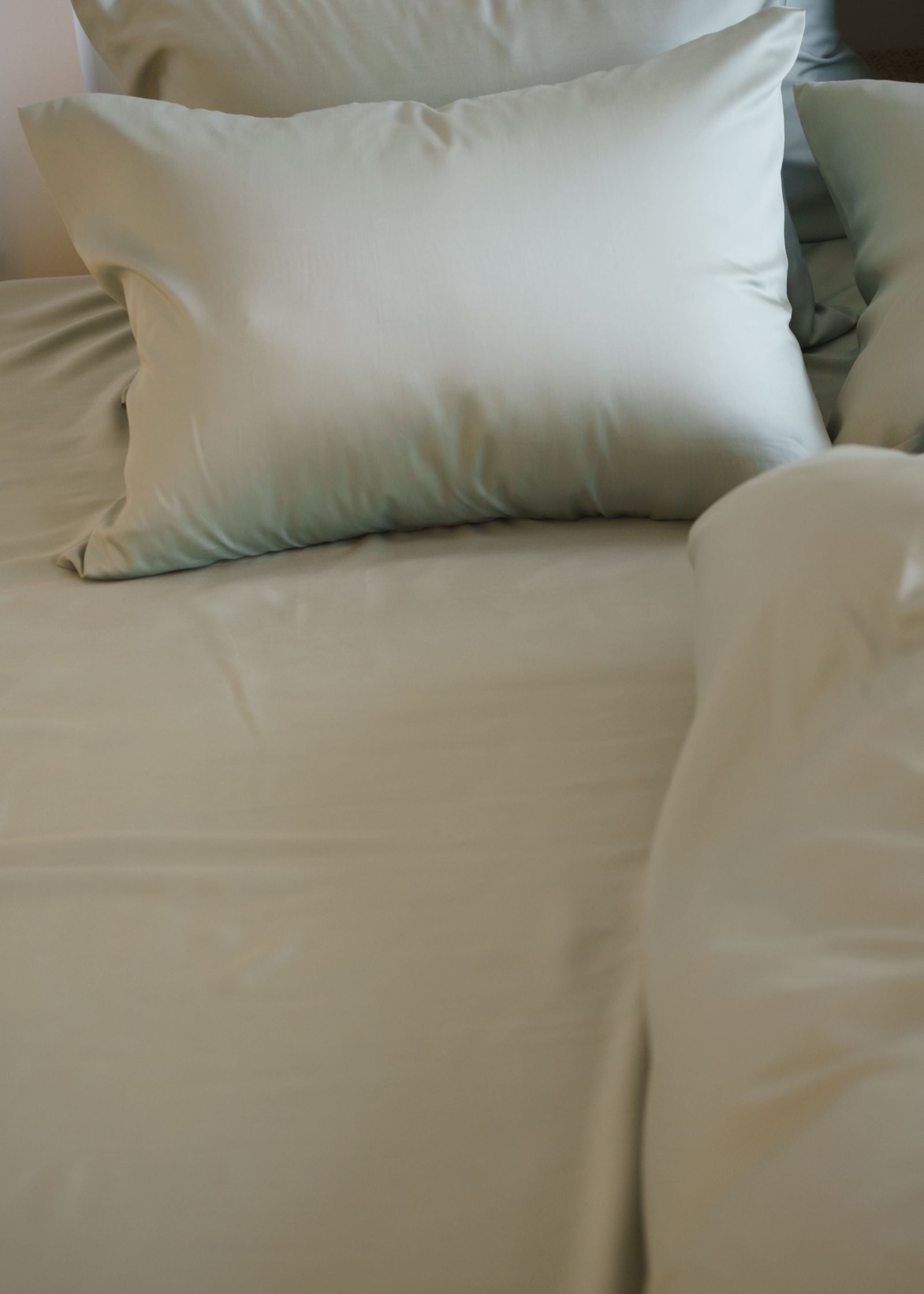 Простыня Olive Brilliant Grass 180х240