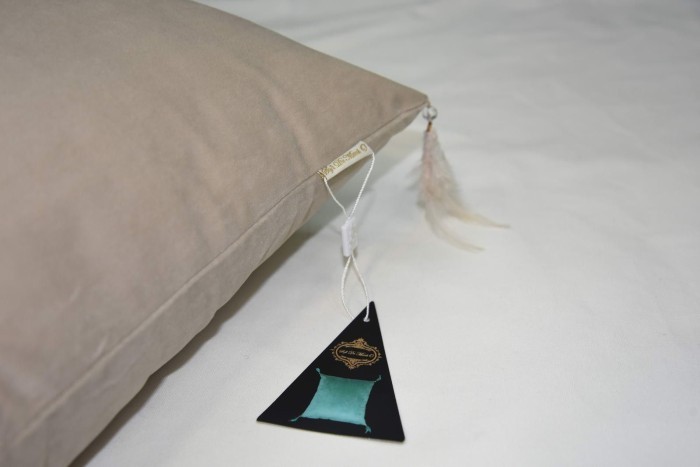 Жасмин (крем) Наволочка 45х45