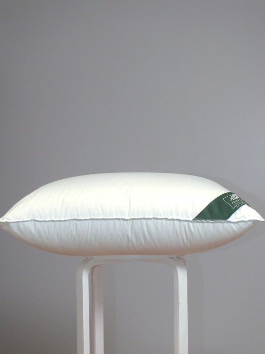 Подушка средняя Anna Flaum EIS Kollektion 50х70