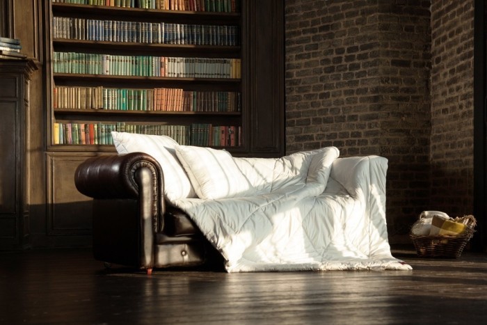 Одеяло CAMEL WOOL GRASS теплое 200х220