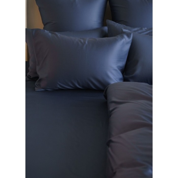 Простыня на резинке 200 х 200 х 40 Blue Brilliant Grass