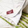 Одеяло Bamboo Grass 150х200 Всесезонное
