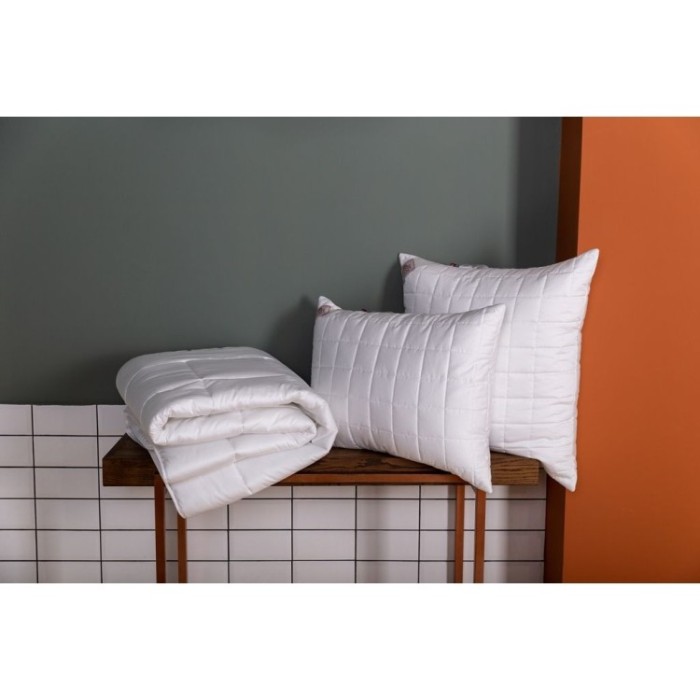 Одеяло German Grass PREMIUM FAMILIE NON-ALERGENIC 220 х 240 см лёгкое