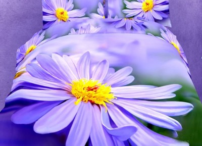 Постельное белье Tango TS05-FS629 семейное 2 наволочки