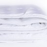 Одеяло стеганое всесезонное "Благородный кашемир" 200 х 220