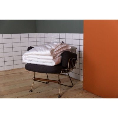 Одеяло German Grass PREMIUM FAMILIE NON-ALERGENIC 160 х 220 см лёгкое