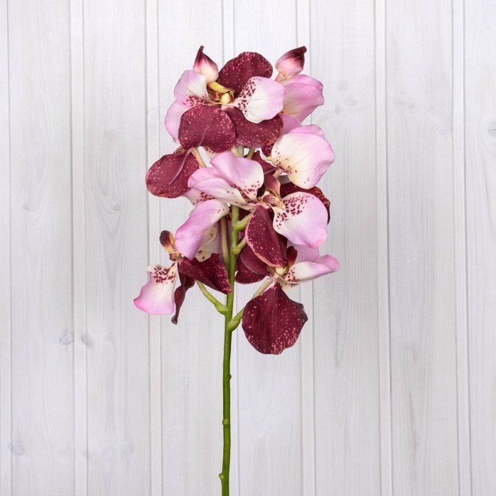 Искусственный Цветок Arya 66 Cm Vanda Светло-Розовый