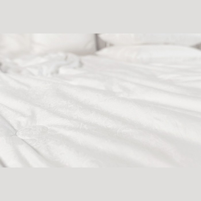 Одеяло PAISLEY SILK GRASS лёгкое 200х200