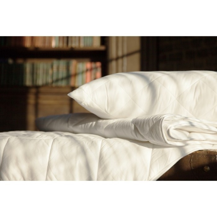 Подушка антиаллергенная 95С Grass (50 x 70) Упругая