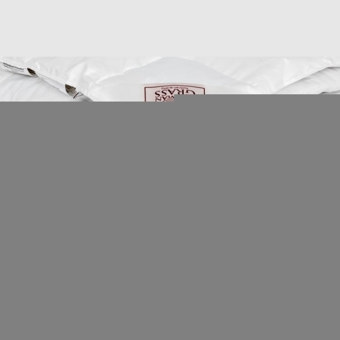 Одеяло SILVER DOWN GRASS всесезонное "Light" 200х220