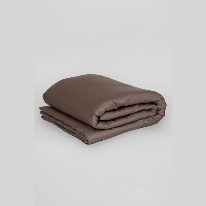 Постельное белье Havana Brown Brilliant Grass Семейный (2 шт) простынь 240х260