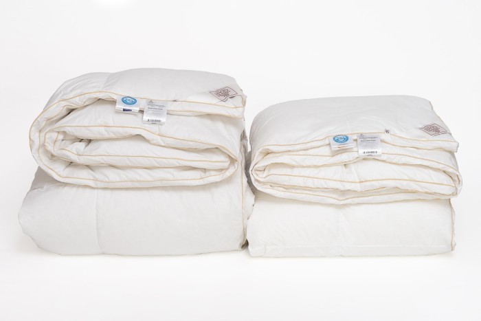 Одеяло QUEEN DOWN GRASS теплое с бортиком 160х220