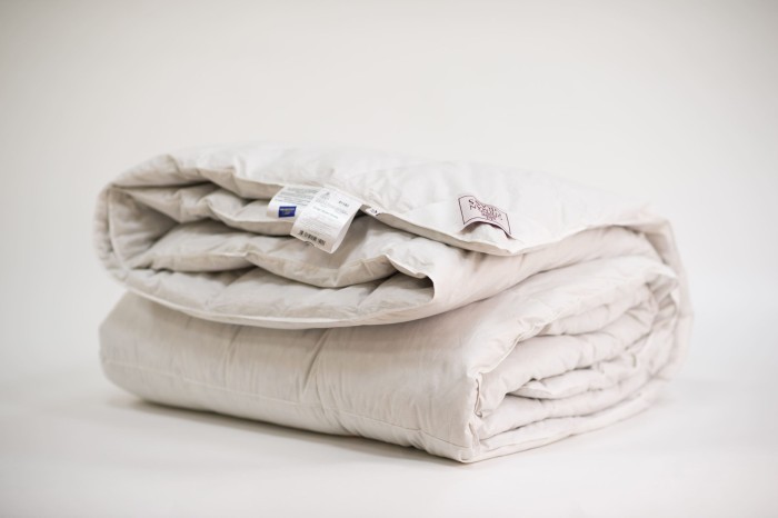 Одеяло SILVER DOWN GRASS всесезонное 200х220