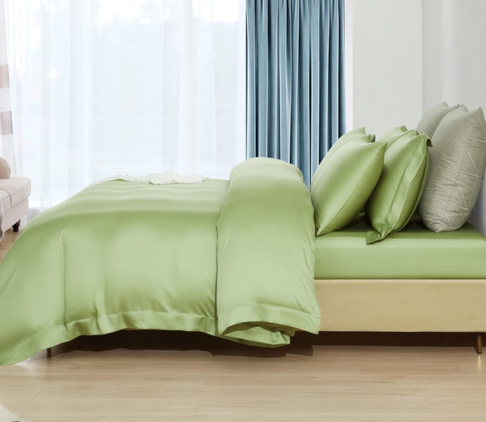 Постельное белье Arya Бамбук Tencel Arty Светло - зеленый