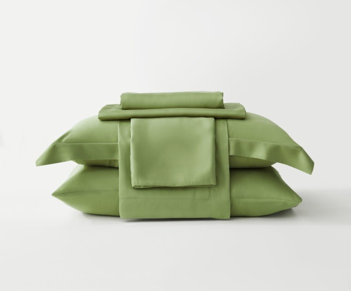 Постельное белье Arya Бамбук Tencel Arty Светло - зеленый
