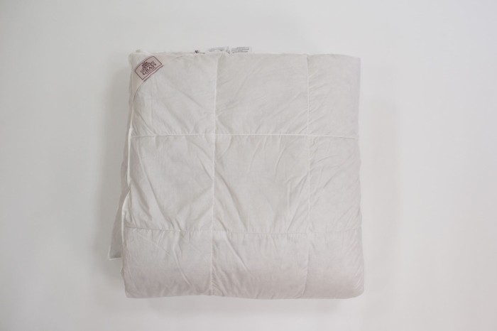 Одеяло SILVER DOWN GRASS всесезонное 220х240