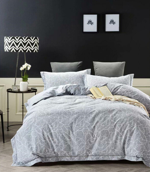 Постельное белье Фланель Евро 2 наволочки MOMAE121