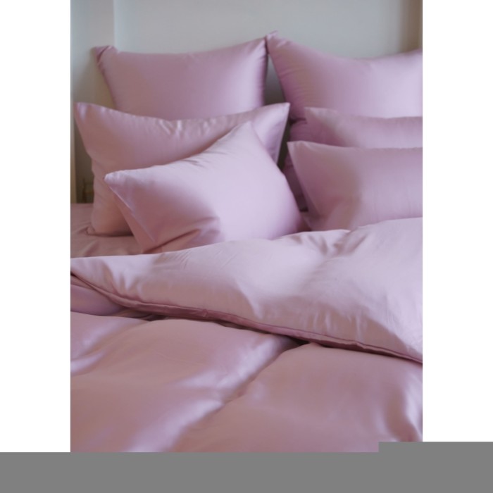 Постельное белье LILAC BRILLIANT GRASS Семейный 50 х 70 см (2 шт) простынь 240х260